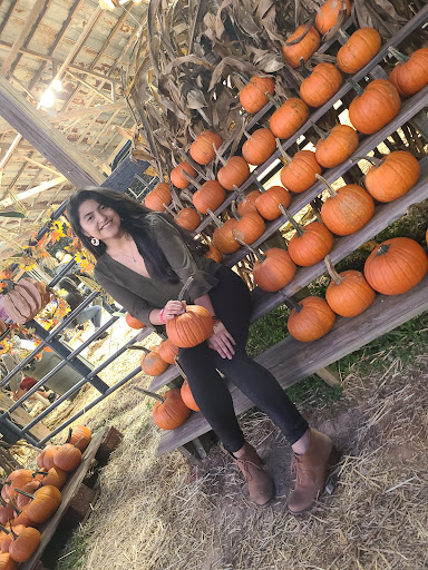 Farm «Buford Corn Maze.», reviews and photos, 4470 Bennett Rd, Buford, GA 30519, USA