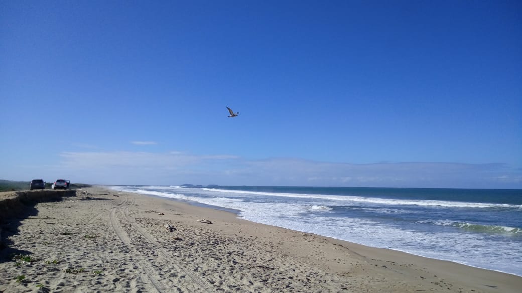 Foto von Halbinsel Strand mit langer gerader strand