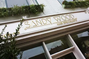 Sandy Wood Hair Specialists image