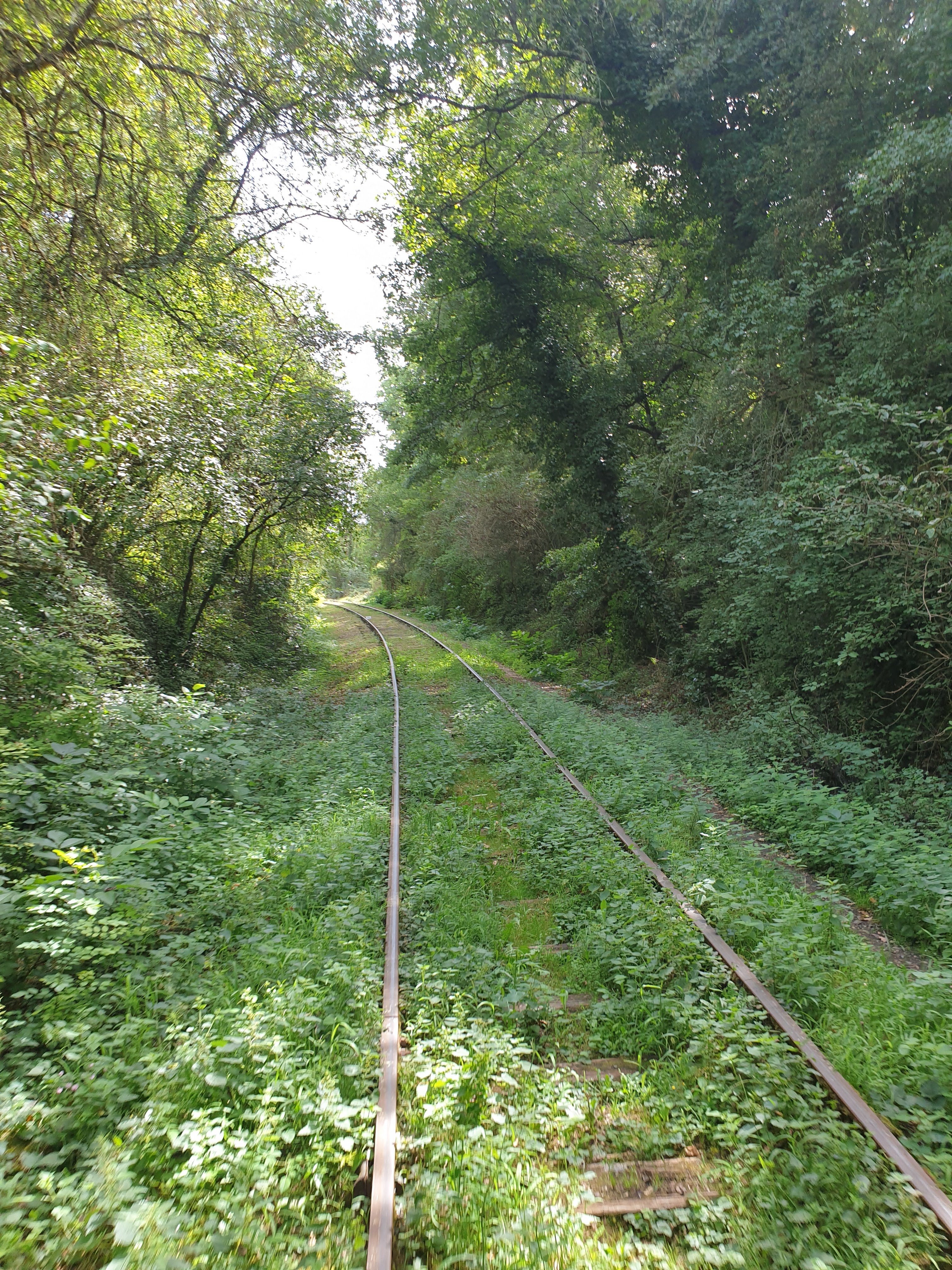 Photo n° 3 de l'avis de jj. fait le 26/08/2020 à 21:22