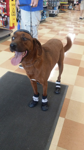 Pet Supply Store «Petco Animal Supplies», reviews and photos, 1080 Washington Square Center, Washington, MO 63090, USA
