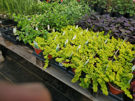 Garden Center «Beachside Gardens & Gifts», reviews and photos, 3725 US-12, Michigan City, IN 46360, USA