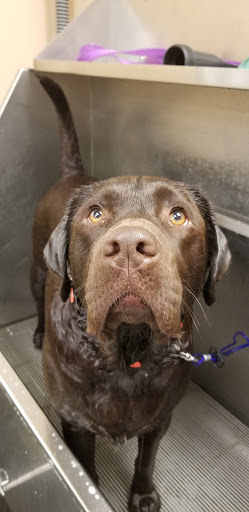 Pet Supply Store «Lemos Feed & Pet Supply», reviews and photos, 1320 Main St, Morro Bay, CA 93442, USA