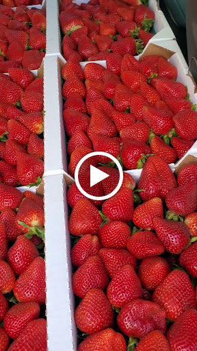 Supermarket «Santa Fe Mercados Inc», reviews and photos, 870 S White Rd, San Jose, CA 95127, USA