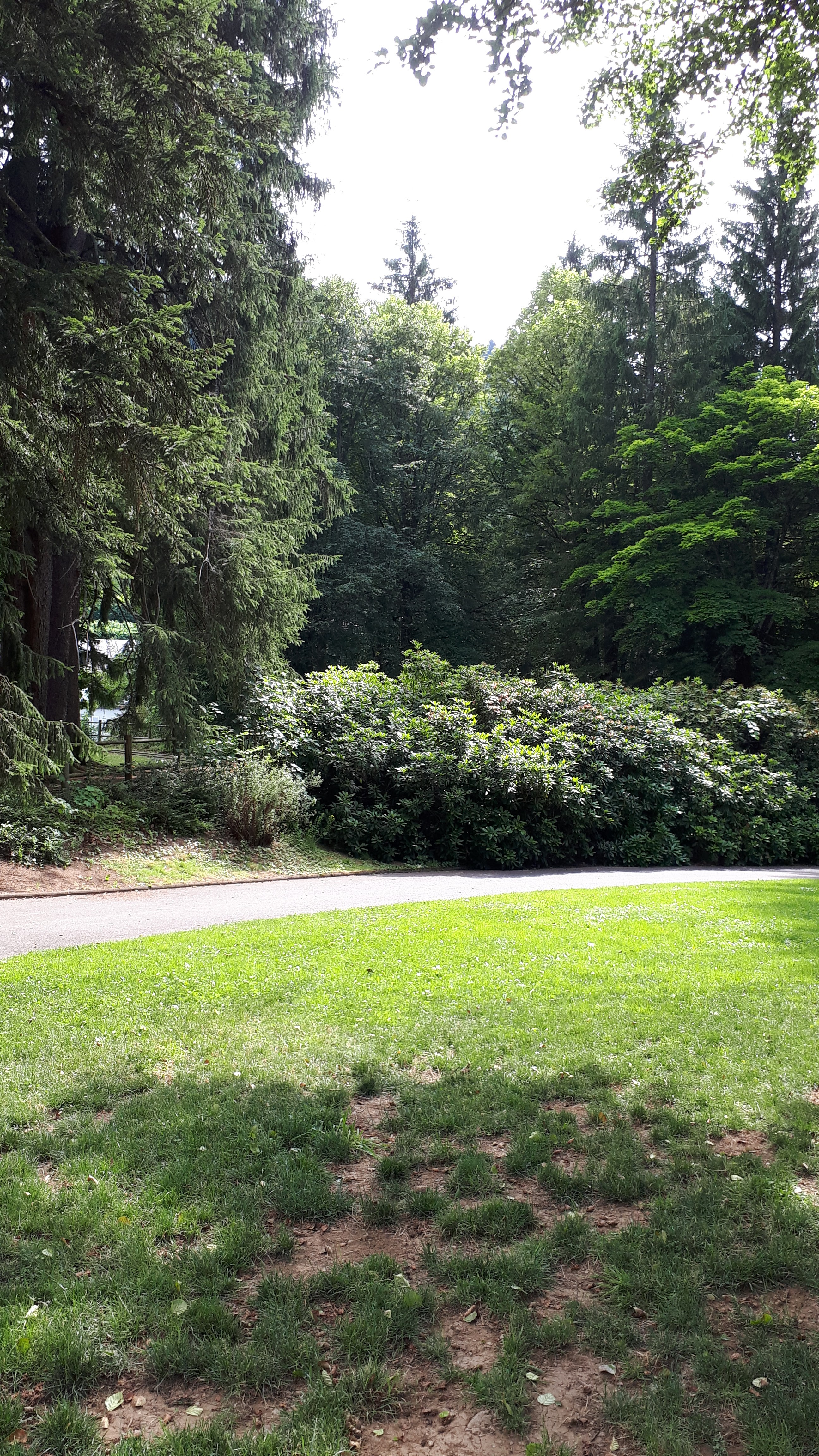 Photo n° 1 de l'avis de Charton.n fait le 08/07/2019 à 14:58