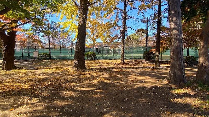 柏の宮公園 テニスコート