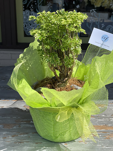 Florist «Country Cousins Flower shop», reviews and photos, 841 E Whittier Blvd, La Habra, CA 90631, USA