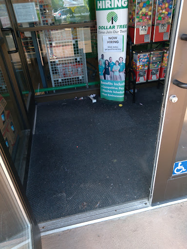 Dollar Store «Dollar Tree», reviews and photos, 1780 Tilden Ridge Dr, Hamburg, PA 19526, USA