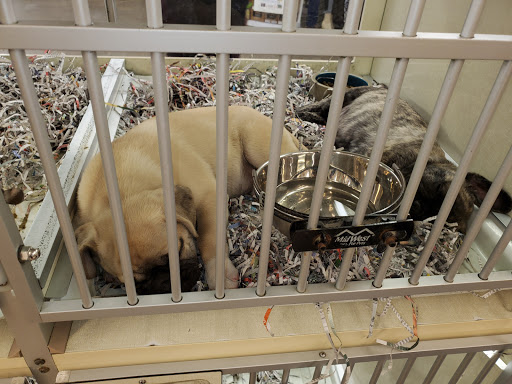 Pet Store «Back To Nature Pets & Grooming», reviews and photos, 110 N Dupont Hwy, New Castle, DE 19720, USA