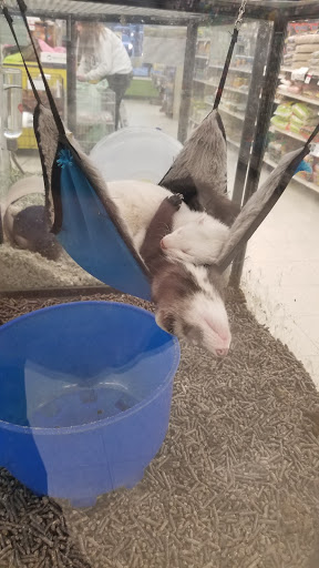 Pet Supply Store «Pet Supplies Plus», reviews and photos, 7315 Mentor Ave, Mentor, OH 44060, USA