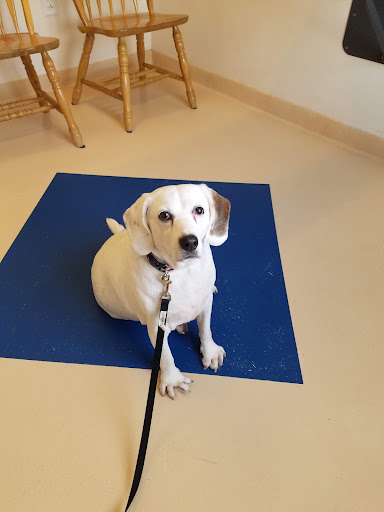 Explore tattoo filler ideas men, creative tattoo ideas in Johnson City, available at Gold Cross Tattoo Co.