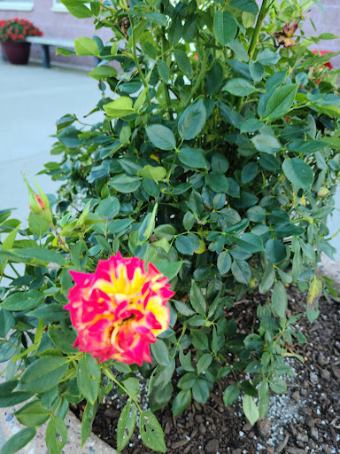 Park «Hewlett Point Park», reviews and photos, 130 Hewlett Point Ave, East Rockaway, NY 11518, USA