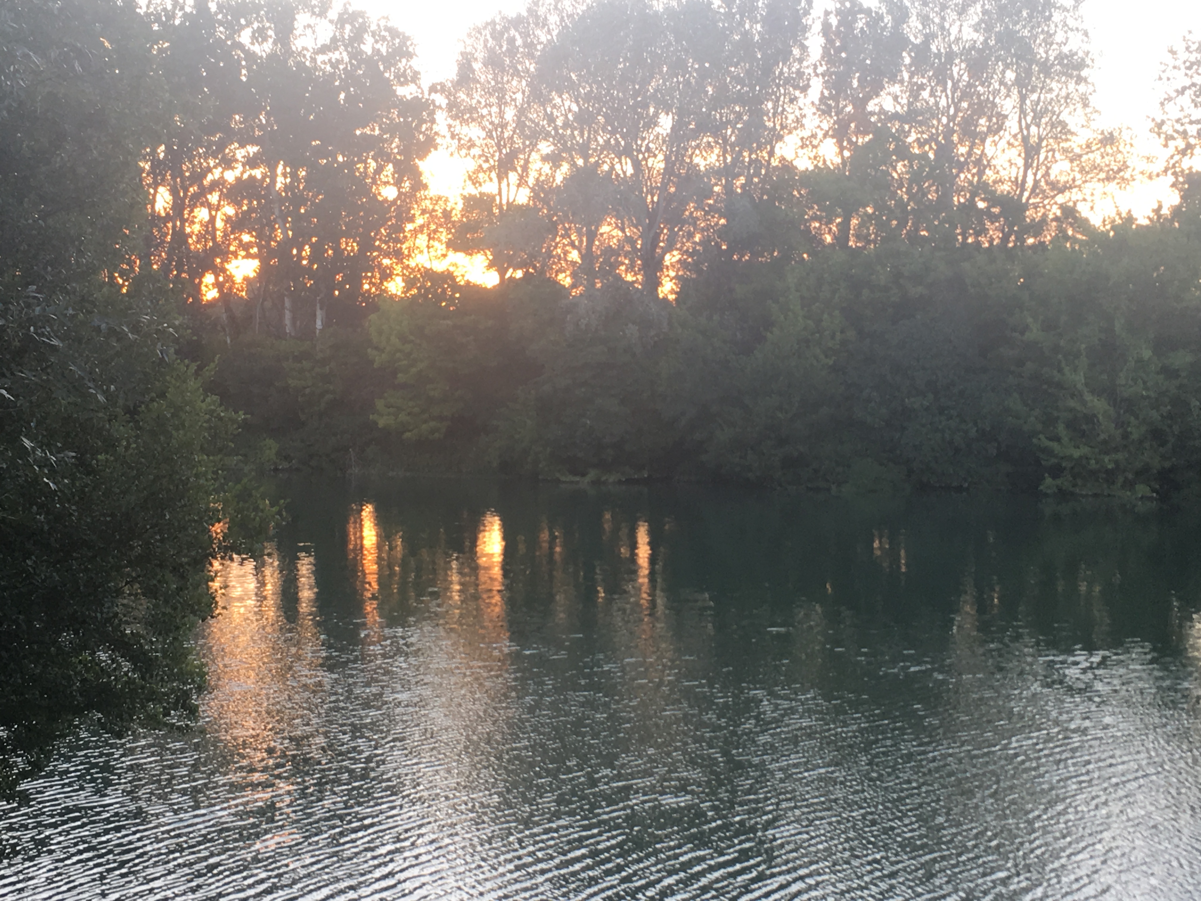 Photo n° 1 de l'avis de Chris.a fait le 25/06/2018 à 20:35