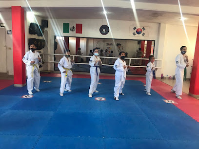 Taekwondo Universidad, San Juan del Río, Qro.