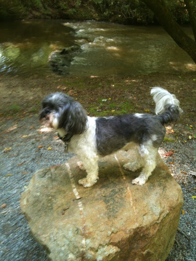 Dr. Kyle Harrell image