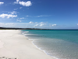 Photo de Taylors Beach avec rivage droit, long