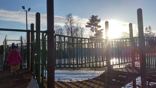 Pulaski Park Pool image 9