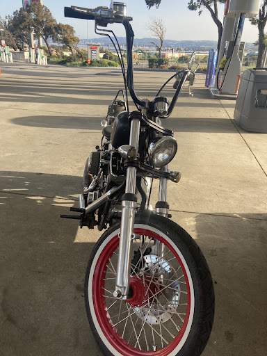 Find cow tattoo ideas for your next unique tattoo in Vallejo at Armada Tattoo Company