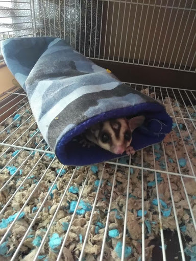 Reptile Store «Pets & Things», reviews and photos, 44825 Van Dyke, Utica, MI 48317, USA