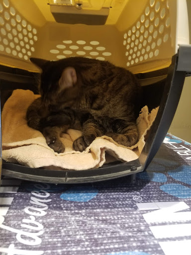 712 Melrose St, Annapolis, MD 21401, USA