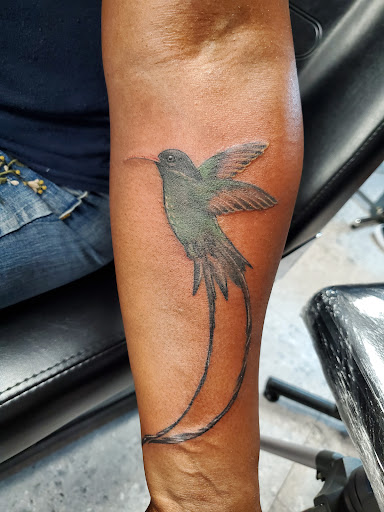 Tattoo Shop «Addicted To Ink», reviews and photos, 38 Westchester Ave, White Plains, NY 10601, USA