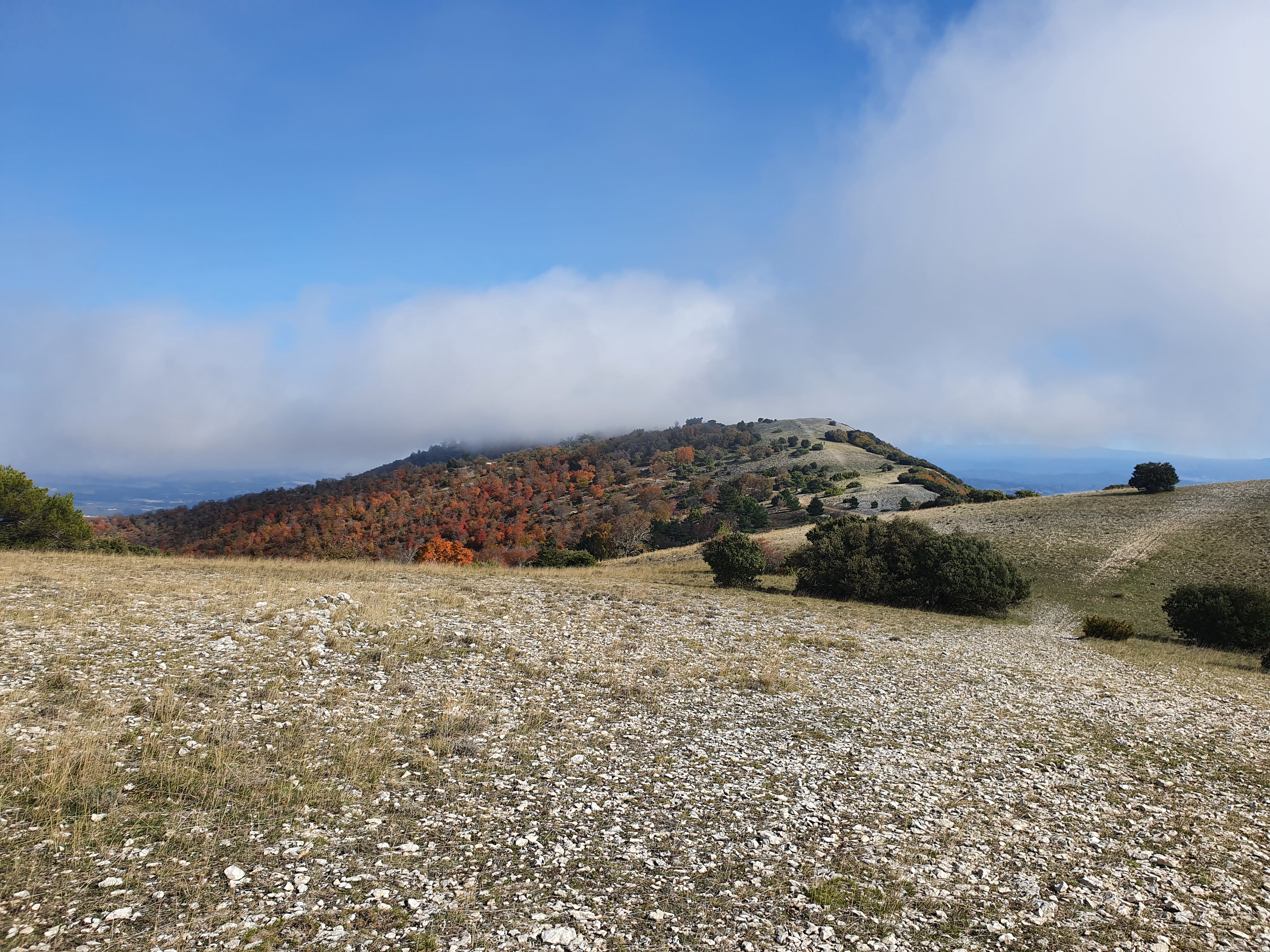 Photo n° 8 de l'avis de Nath.t fait le 24/10/2020 à 15:59