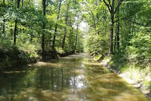 Holland Bottoms State Wildlife Management Area image