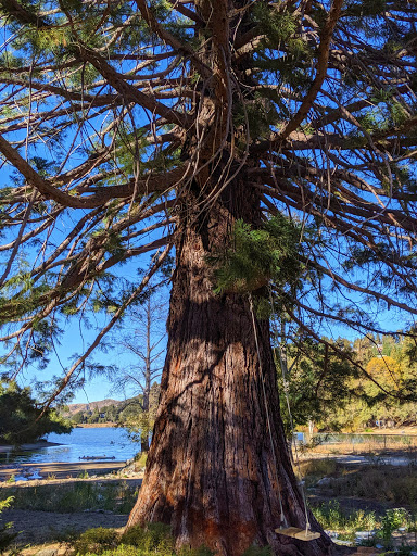 Water Park «Lake Gregory Regional Park», reviews and photos, 24171 Lake Dr, Crestline, CA 92325, USA