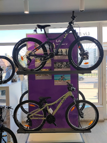 Opinii despre Centrum Rowerowe Buga Sport Salon Serwis Rowerowy Gdańsk Sklep Outlet Rowerowy Rowery Elektryczne Gdańsk în Gdańsk - Sklep rowerowy