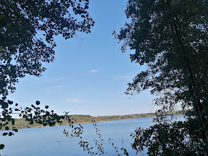 Photo n°6 de Trouée d'Arenberg à Wallers ()
