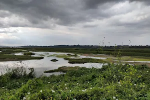 Leigh National Nature Reserve image