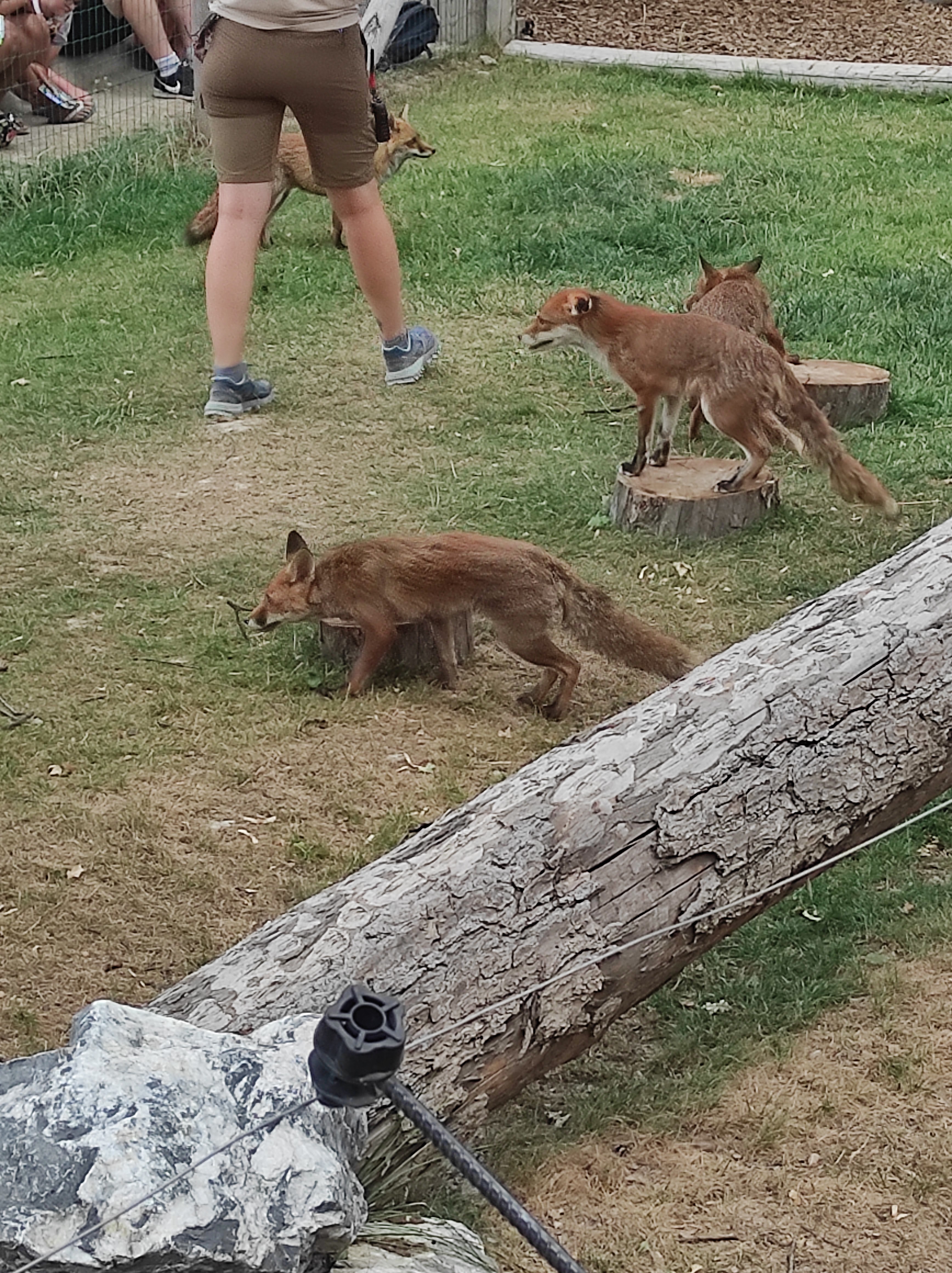 Photo n° 2 de l'avis de Evelyne.e fait le 29/07/2022 à 14:49