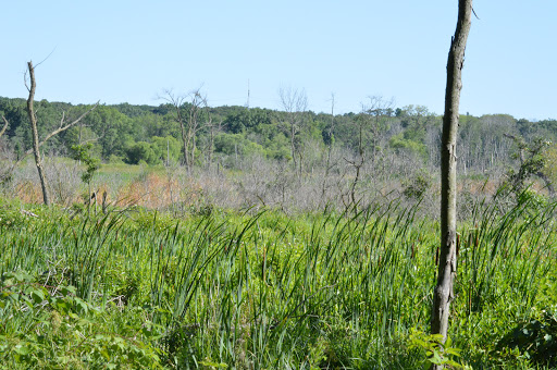 Hiking Area «Cowles Bog Trail», reviews and photos, 1618 N Mineral Springs Rd, Dune Acres, IN 46304, USA