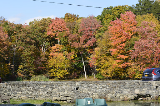 Pet Store «Abrams and Weakley General Store for Animals», reviews and photos, 3963 N 6th St, Harrisburg, PA 17110, USA