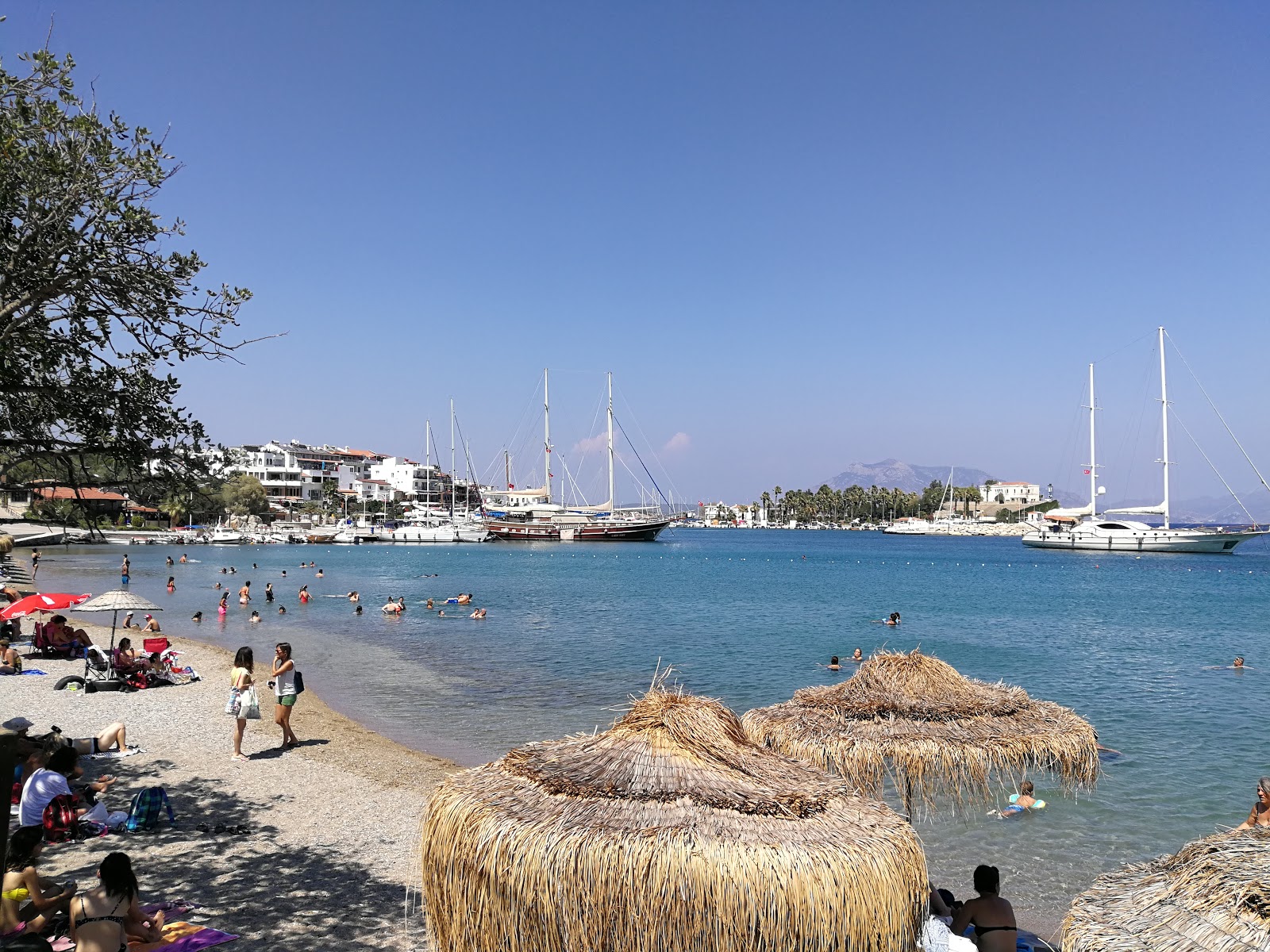 Talik beach的照片 带有碧绿色纯水表面