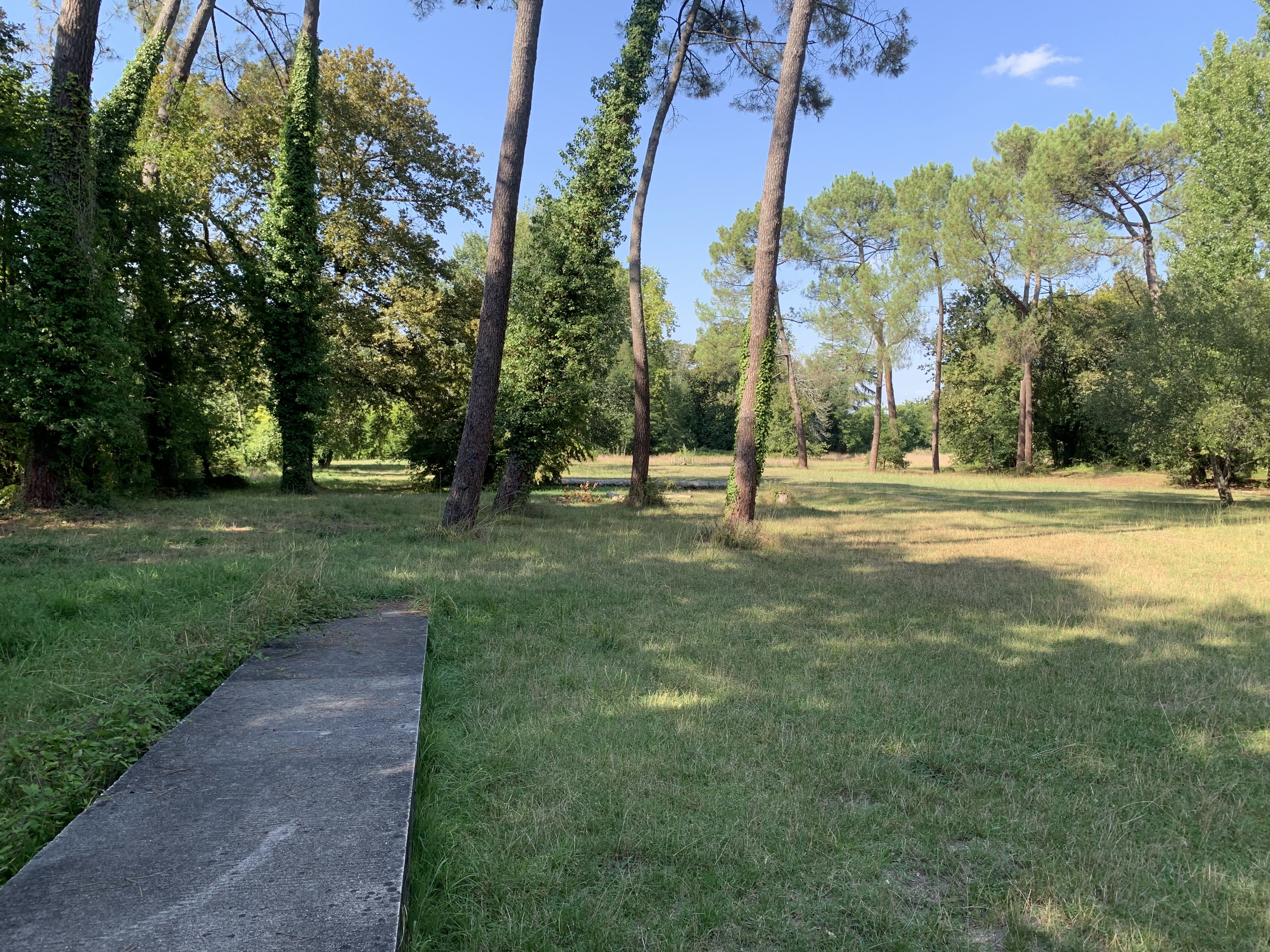 Photo n° 15 de l'avis de Esteban.R fait le 17/08/2023 à 16:46