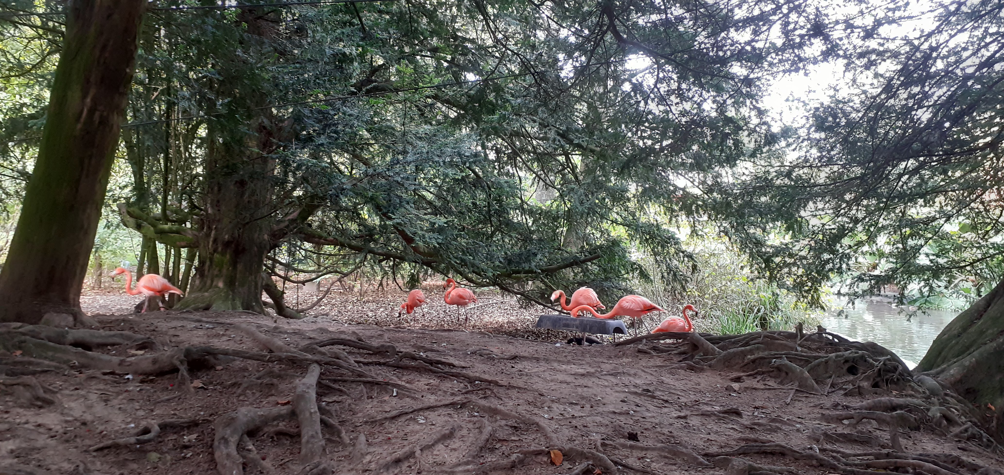 Photo n° 5 de l'avis de nad.a fait le 30/10/2022 à 09:07