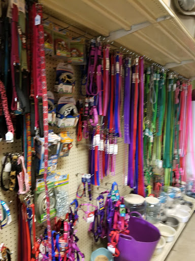 Pet Supply Store «Tams Pet Foods & Supplies», reviews and photos, 19305 Vanowen St, Reseda, CA 91335, USA