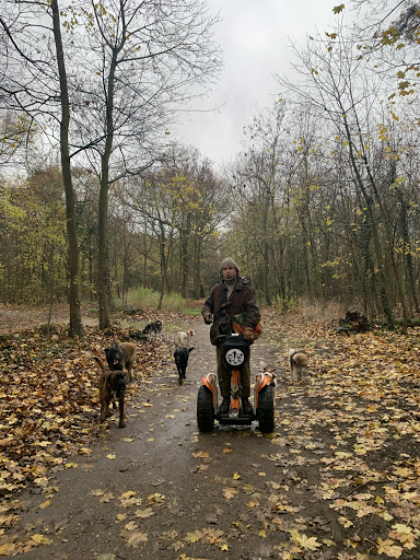 Franck Philip - Dressage chiens à Paris