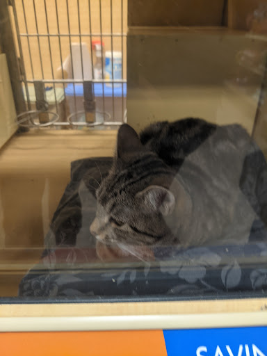 Pet Supply Store «PetSmart», reviews and photos, 400 Mill Creek Dr, Secaucus, NJ 07094, USA