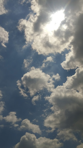 Park «Richard Siegel Park», reviews and photos, 515 Cherry Ln Dr, Murfreesboro, TN 37129, USA