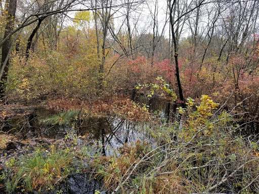 Nature Preserve «Dolan Pond Conservation Area», reviews and photos, Webster Park, West Newton, MA 02465, USA