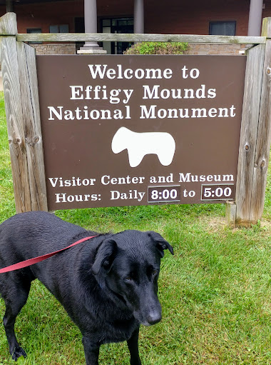 Visitor Center «Effigy Mounds National Monument Visitor Center», reviews and photos, 151 IA-76, Harpers Ferry, IA 52146, USA