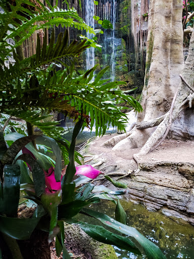Zoo «Lied Jungle», reviews and photos, 916 D St, Omaha, NE 68107, USA