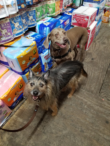 Pet Supply Store «Spoiled Brats», reviews and photos, 4 Bennett Ave, New York, NY 10033, USA