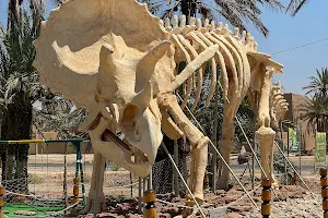 Tahiri museum of fossils image