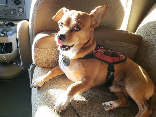 Car Dealer «Hanlees Chrysler Dodge Jeep Ram of Napa», reviews and photos, 333 Soscol Ave, Napa, CA 94559, USA