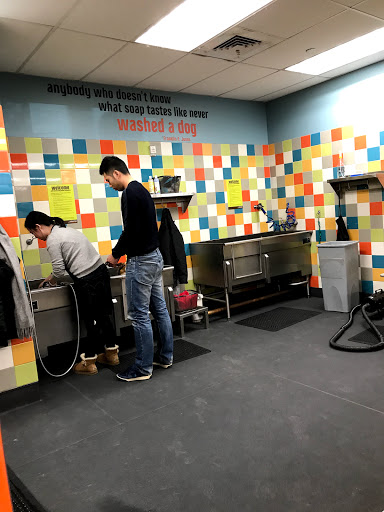 Pet Supply Store «Petco Animal Supplies», reviews and photos, 61-23 190th St, Fresh Meadows, NY 11365, USA