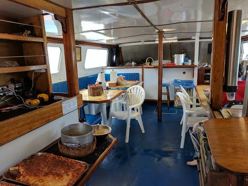 National Park «Channel Islands National Park», reviews and photos