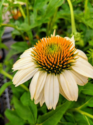 Home Improvement Store «The Home Depot», reviews and photos, 535 Grand Army of the Republic Hwy, Somerset, MA 02725, USA